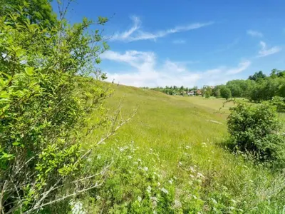 Naturlandschaft in der Nähe des Ferienhauses