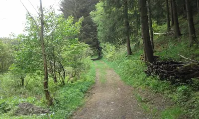 Naturlandschaft in der Nähe der Ferienwohnung
