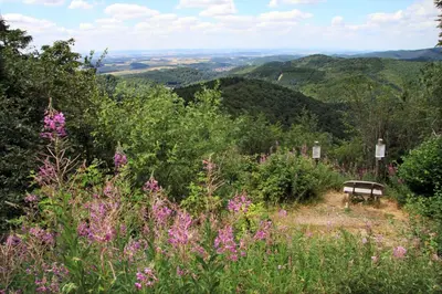 Naturlandschaft in der Nähe der Ferienwohnung