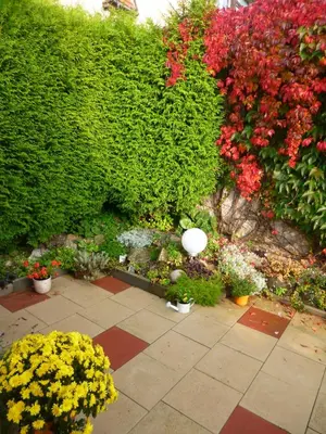 Ein Garten an der Unterkunft Ferienhaus ANNE