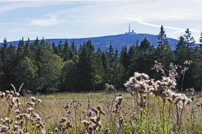 Ein allgemeiner Bergblick oder ein Berglick von der Ferienwohnung aus