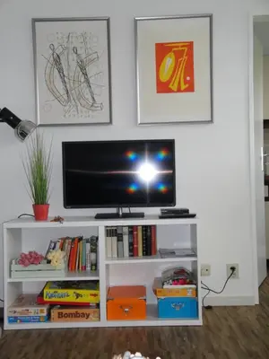 TV/Unterhaltungsangebot in der Unterkunft Ferienwohnung Harzmond
