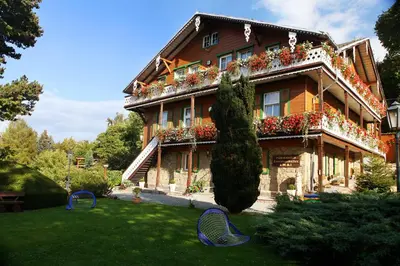 Ein Garten an der Unterkunft Pension Schweizer Hof