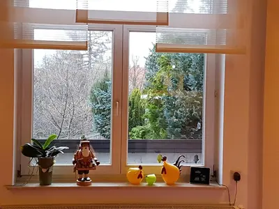 Grundriss der Unterkunft Pension Schweizer Hof