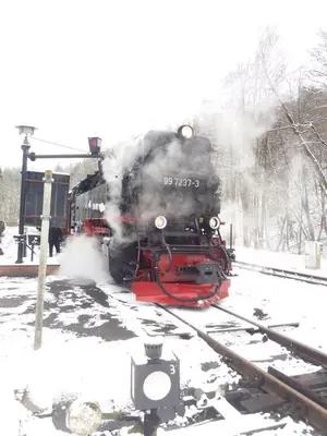 Hexenhaus am Waldesrand Wernigerode im Winter