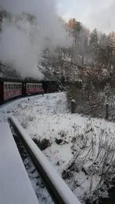Hexenhaus am Waldesrand Wernigerode im Winter