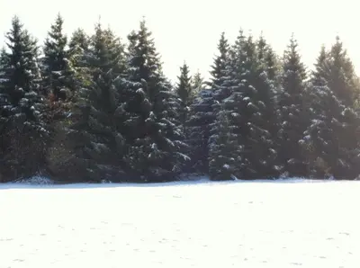 Naturlandschaft in der Nähe des Ferienhauses