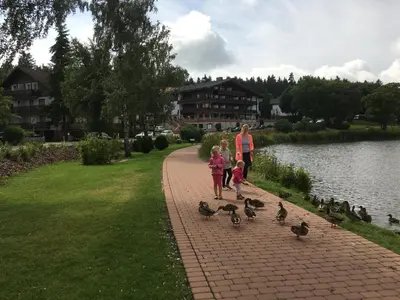 Naturlandschaft in der Nähe der Ferienwohnung