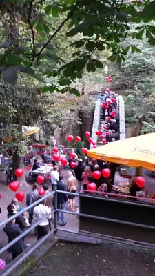 Gäste, die in der Unterkunft Gasthaus Koenigsruhe übernachten