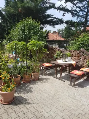 Ein Garten an der Unterkunft Haus Andrea