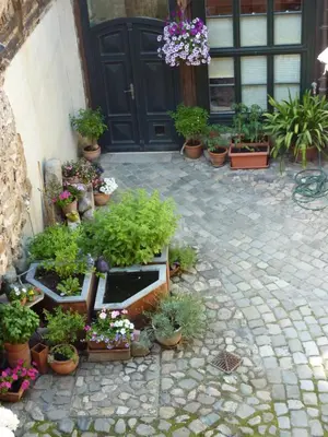 Ein Garten an der Unterkunft Ferienwohnung unterm Schreckensturm
