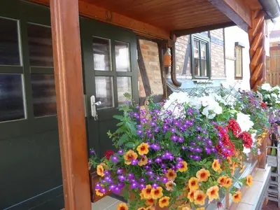 Ein Garten an der Unterkunft Ferienwohnung unterm Schreckensturm