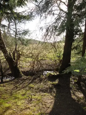Naturlandschaft in der Nähe der Ferienwohnung