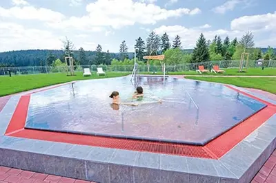 Der Swimmingpool an oder in der Nähe von Eulennestchen-Harz Fewo S1 oder L2 Für Single, Paar oder Familie & Hund Oberharz