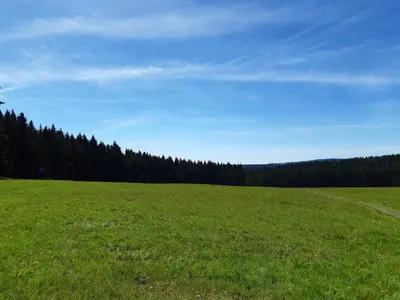 Naturlandschaft in der Nähe der Ferienwohnung