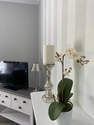 TV/Unterhaltungsangebot in der Unterkunft Villa Mara