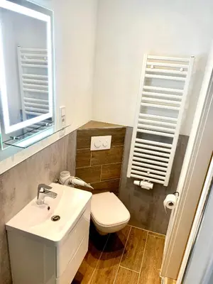 Ein Badezimmer in der Unterkunft weißer Hirsch im Haus Sabine