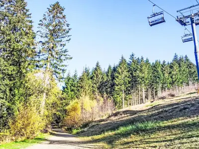 Naturlandschaft in der Nähe der Ferienwohnung