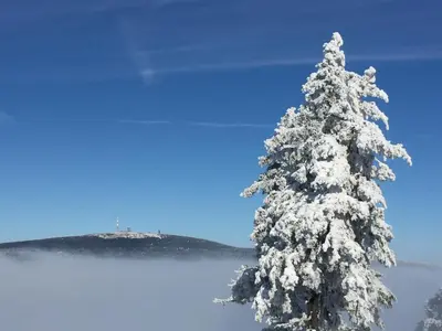 Ferienwohnung Harz-Flair 264 im Winter