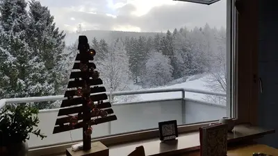 Ferienwohnung Singer Am Erlebnisbocksberg im Winter