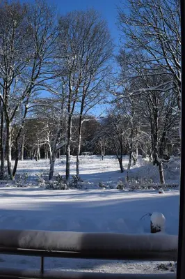 Henne Hahnenklee im Winter