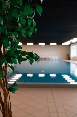 Der Swimmingpool an oder in der Nähe von Ferienwohnung Harz-Panorama 434