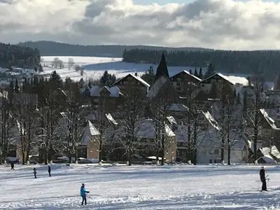 Moderne, ruhige Ferienwohnung in Braunlage Harz inkl WLAN & Netflix im Winter