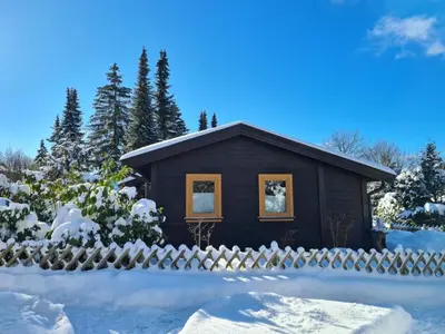 Hüttenflair am See mit Kamin im Winter