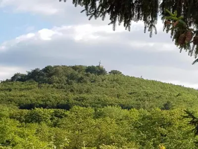 Naturlandschaft in der Nähe des Ferienhauses