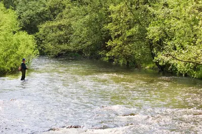 Naturlandschaft in der Nähe der Pension