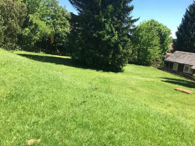 Ein Garten an der Unterkunft Ferienwohnung Harzsonne
