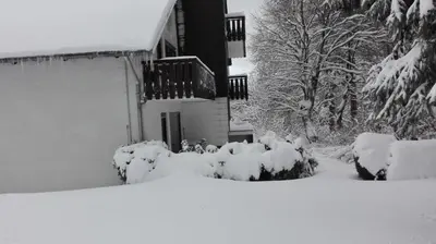 Ferienwohnung Kück-Birkenweg im Winter