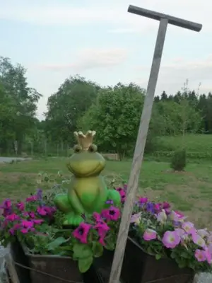 Ein Garten an der Unterkunft Selke´s exklusives Ferienhaus