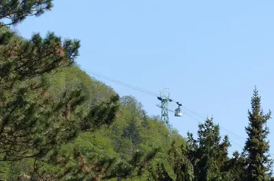 Gäste, die in der Unterkunft FeWo Parkblick mit 2 Bädern übernachten