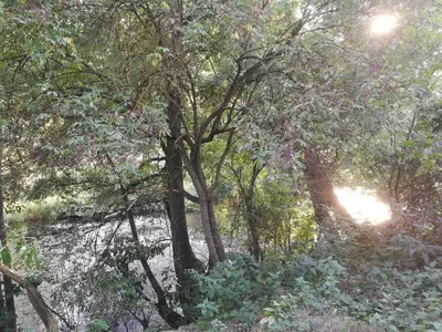 Naturlandschaft in der Nähe der Ferienwohnung