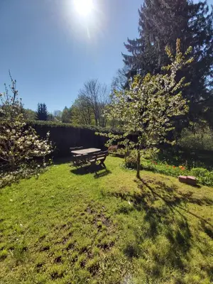 Ein Garten an der Unterkunft Alte Forsterei