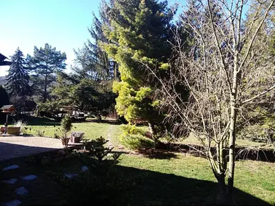 Ein Garten an der Unterkunft Ferienhaus zum Vogelnest