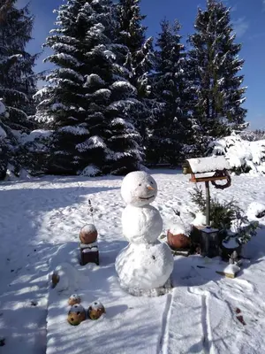 Ferienhaus zum Vogelnest im Winter