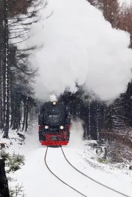 EisHexe im Winter