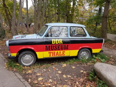 Grundriss der Unterkunft FeWo am Moorteich