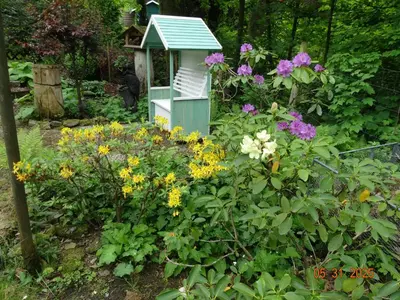 Ein Garten an der Unterkunft Ferienwohnung im Harz-Haus-Bruns