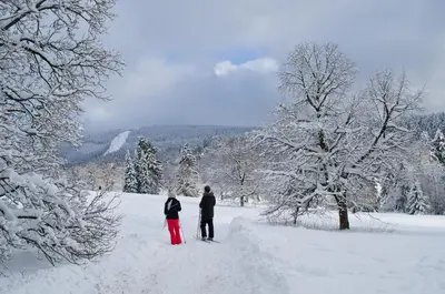 Ferienblockhaus Auerhahn & Luchs im Winter