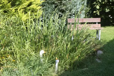 Ein Garten an der Unterkunft Ferienhaus Kleine Hexe