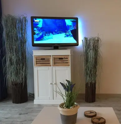 TV/Unterhaltungsangebot in der Unterkunft Seesicht Appartements am Kranichsee