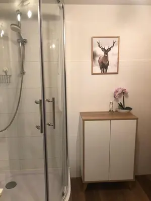 Ein Badezimmer in der Unterkunft Ferienhaus am Hahnenkopf