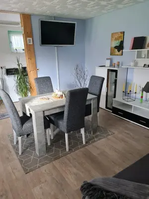 TV/Unterhaltungsangebot in der Unterkunft Haus am Waldesrand