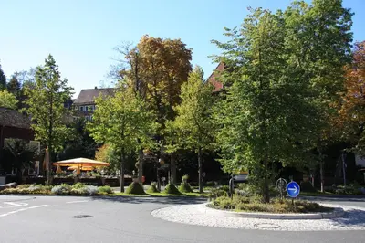 Ein Garten an der Unterkunft Kurpark Domizil