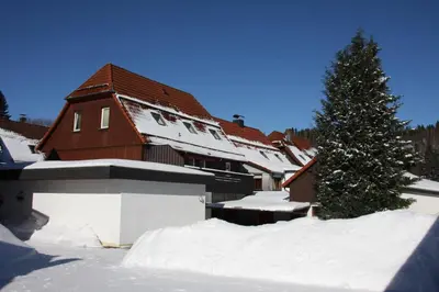 Harz-Sonne im Winter