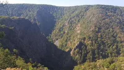 Naturlandschaft in der Nähe des Ferienparks