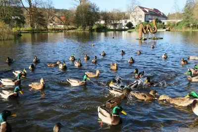 Naturlandschaft in der Nähe der Ferienwohnung